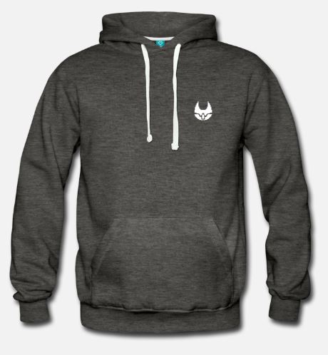 You are currently viewing Le sweat-shirt Force Unifiée !